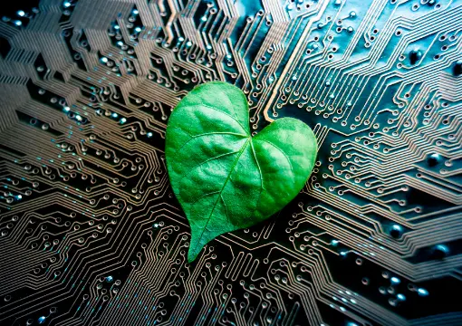 江南体育app案例